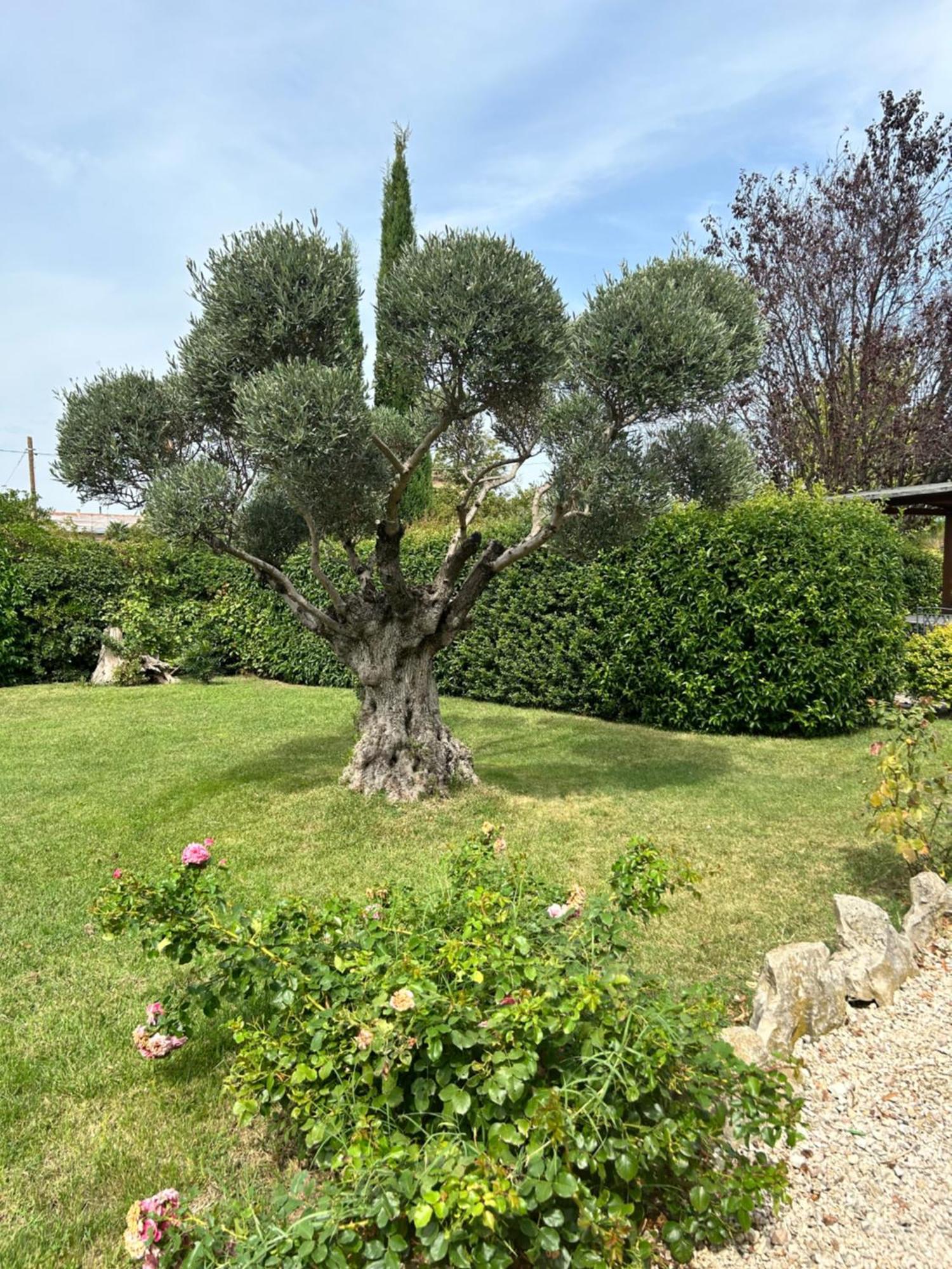 La Perla Di Assisi Hotel Luaran gambar